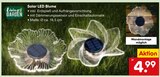 Solar LED Blume im Angebot bei Netto Marken-Discount in Wuppertal Solar LED Blume Angebote von Living Garden bei Netto Marken-Discount Wuppertal für 4,99 €