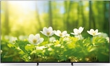 expert Oldenburg - Smart TV K75XR59B.CEI Angebot im Prospekt Smart TV K75XR59B.CEI bei expert im Oldenburg Prospekt für 799,00 €