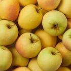 Pomme Golden en promo chez Carrefour Pomme Golden dans le catalogue Carrefour