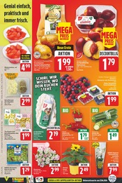 Kartoffeln im E center Prospekt in Falkensee Aktueller E center Prospekt mit Kartoffeln, "Aktuelle Angebote", Seite 2