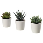 Topfpflanze, künstlich/mit Topf drinnen/draußen Sukkulente von FEJKA im aktuellen IKEA Prospekt für 2,99 €