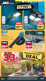 Schere Angebote im Prospekt "Günstig. Besser. Für Dich." von Netto mit dem Scottie Schere Angebote im Prospekt "Günstig. Besser. Für Dich." von Netto mit dem Scottie auf Seite 26