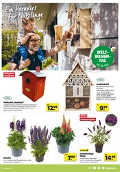 Gartendeko im Hagebaumarkt Prospekt in Rüsselsheim Aktueller Hagebaumarkt Prospekt mit Gartendeko, "Schenk mit uns von Herzen", Seite 9
