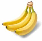 Aktuelles Bio Bananen Angebot bei GLOBUS in Salzgitter