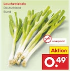 Netto Marken-Discount - Lauchzwiebeln Angebot im Prospekt Lauchzwiebeln bei Netto Marken-Discount im Prospekt "" für 0,49 €