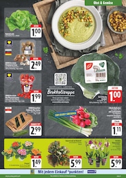 E center Pilze im Prospekt 