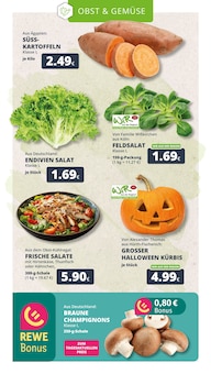 Pilze im aktuellen REWE Prospekt (Köln) Pilze im REWE Prospekt "Dein Markt" mit 23 Seiten (Köln)