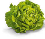 Aktuelles Kopfsalat Angebot bei Netto Marken-Discount in Duisburg ab 1,00 €