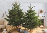 SAPIN NORDMANN COUPÉ en promo à 34,99 € chez Hyper U SAPIN NORDMANN COUPÉ dans le catalogue Hyper U
