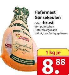 Hafermast Gänsekeulen oder -brust bei famila Nordost in Herford Hafermast Gänsekeulen oder -brust im Angebot bei famila Nordost Herford für 8,88 €