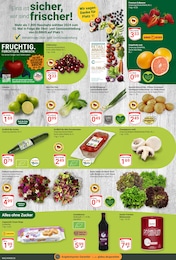Pilze Angebot im aktuellen GLOBUS Prospekt auf Seite 4