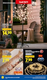Prix et réduction Arbre dans le prospectus Lidl en cours Offre Arbre dans le catalogue Lidl du moment à la page 42