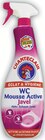 Spray WC Mousse Active Javel - CHANTECLAIR en promo chez Intermarché Hyper Aix-les-Bains à 1,75 €