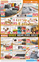 Schmutzfangmatte Angebot im aktuellen Norma Prospekt auf Seite 13