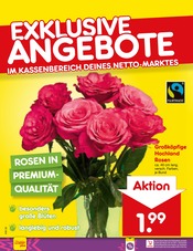 Pflanzen im Netto Marken-Discount Prospekt in Falkensee Aktueller Netto Marken-Discount Prospekt mit Pflanzen, "Aktuelle Angebote", Seite 12