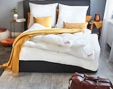 Aktuelles Kopfkissen Angebot bei Möbel Martin in Mainz ab 39,99 €