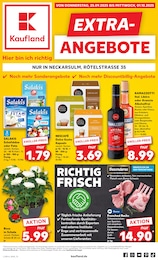 Kaufland Prospekt mit 8 Seiten