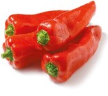 Spitzpaprika rot im Netto mit dem Scottie Prospekt Spitzpaprika rot im aktuellen Netto mit dem Scottie Prospekt für 1,59 €