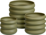 Aktuelles Blumentopf Angebot bei Sconto SB in Dresden ab 19,95 €