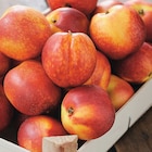 Nectarine blanche et/ou jaune en promo chez Intermarché Express Nectarine blanche et/ou jaune dans le catalogue Intermarché Express