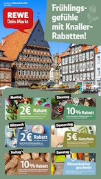 REWE Prospekt "Dein Markt" für Hildesheim, 34 Seiten, 27.04.2026 - 02.05.2026