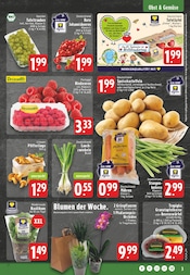 Pflanzen im EDEKA Prospekt in Herne Aktueller EDEKA Prospekt mit Pflanzen, "Aktuelle Angebote", Seite 3