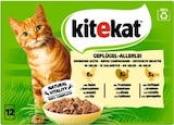 Geflügel Allerlei im Angebot bei REWE in Berlin Geflügel Allerlei Angebote von Kitekat bei REWE Berlin für 2,99 €