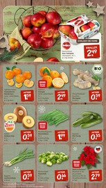 Ähnliche Angebote wie Zitronenbaum im Prospekt "nichts liegt näher" auf Seite 3 von nahkauf in Elmshorn