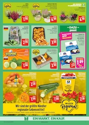 Pflanzen im Marktkauf Prospekt in Erlangen Aktueller Marktkauf Prospekt mit Pflanzen, "AUSWAHL RIESIG, PREISE NIEDRIG", Seite 7