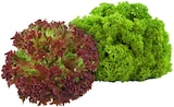 Bunte Salate im REWE Prospekt Bunte Salate von REWE Bio im aktuellen REWE Prospekt für 1,99 €