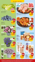 Penny Schweinefleisch im Prospekt 