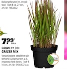 Gräser Mix im Angebot bei OBI in Iserlohn Gräser Mix Angebote von Grow by Obi bei OBI Iserlohn für 7,99 €