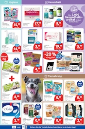 Purina Angebote im Prospekt "drogeriemarkt" von budni Purina Angebote im Prospekt "drogeriemarkt" von budni auf Seite 5