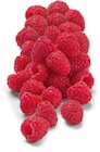 Netto Marken-Discount - Himbeeren Angebot im Prospekt Himbeeren bei Netto Marken-Discount im Prospekt "" für 1,99 €