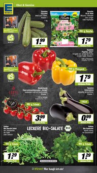 Tomaten im aktuellen EDEKA Prospekt (Münster) Tomaten im EDEKA Prospekt "Aktuelle Angebote" mit 14 Seiten (Münster)