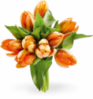 Herbsttulpen im Angebot bei Netto Marken-Discount in Schwäbisch Hall Herbsttulpen Angebote bei Netto Marken-Discount Schwäbisch Hall für 3,79 €