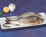 Bar d'aquaculture dans le catalogue Hyper U