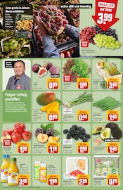 Ähnliche Angebote wie Balkonpflanzen im Prospekt "Dein Markt" auf Seite 6 von REWE in Heidenheim