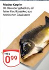 Frischer Karpfen im Angebot bei GLOBUS in Duisburg Frischer Karpfen Angebote bei GLOBUS Duisburg für 0,99 €