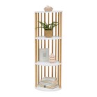 REGAL Angebote bei mömax Regensburg für 55,00 €