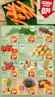 Staubsauger im REWE Prospekt "Dein Markt" mit 20 Seiten (Bremen)