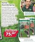 Herbst-Rasendünger bei Kiebitzmarkt im Marschacht Prospekt für 75,00 €