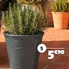 Cache-pot provence dans le catalogue Gifi