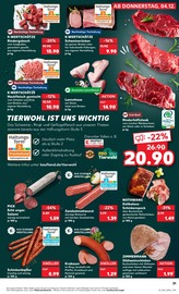 Hackfleisch im Kaufland Prospekt in Bruchsal Aktueller Kaufland Prospekt mit Hackfleisch, "KNÜLLER", Seite 31