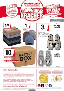 Mickey Mouse Angebot im Woolworth Prospekt, gültig von 15.10.2026 bis 15.10.2026 Mickey Mouse Angebot im aktuellen Woolworth Prospekt auf Seite 8