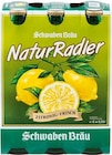 Aktuelles Natur Radler Angebot bei Netto Marken-Discount in Aalen ab 3,99 €