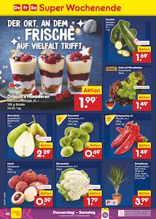 Zimmerpflanzen im aktuellen Netto Marken-Discount Prospekt (Hamburg) Zimmerpflanzen im Netto Marken-Discount Prospekt "Aktuelle Angebote" mit 57 Seiten (Hamburg)