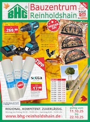 Aktueller Bauzentrum Reinholdshain Baumärkte Prospekt in Höckendorf und Umgebung, "Regional. Kompetent. Zuverlässig." mit 8 Seiten, 11.10.2025 - 22.10.2025