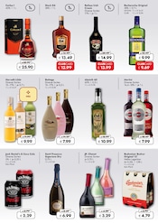 Aktueller Travel FREE Prospekt mit Weinbrand, "TOP-ANGEBOTE IM FRÜHLING", Seite 3