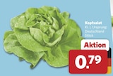 Kopfsalat bei combi im Prospekt "" für 0,79 €